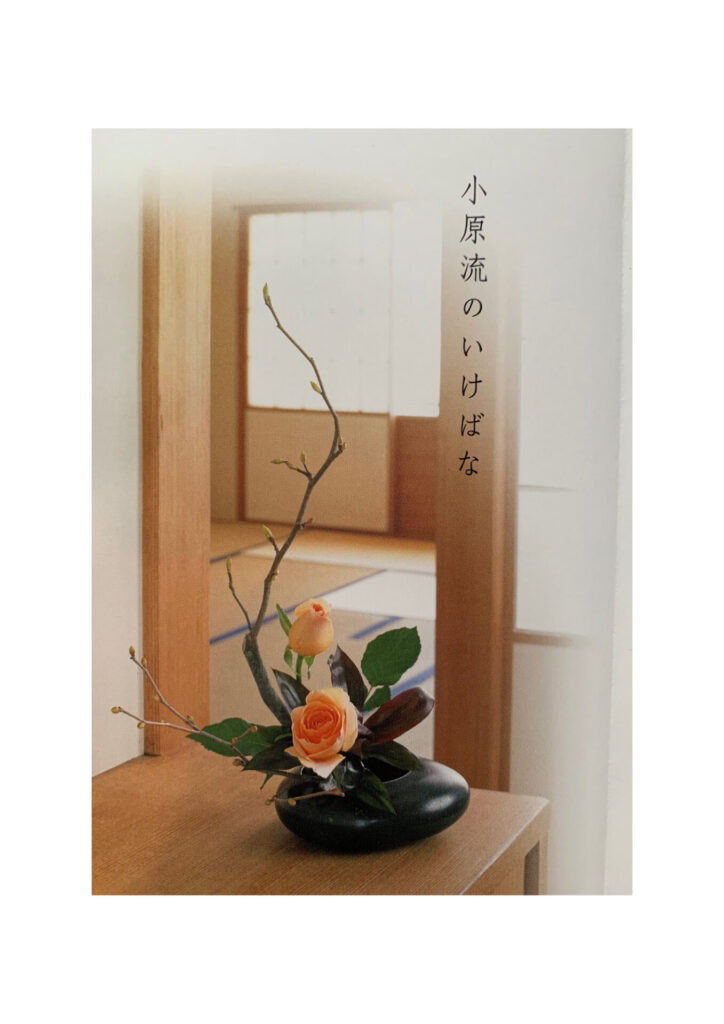 🔰生け花　初心者向け　小原流　花意匠　たてるかたちのポイントをおさえよう　基本の盛花　始めよういけばな　レッスン！ 小原流の花 だれでもわかる基本のテクニック